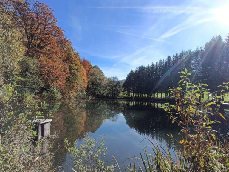 foto20