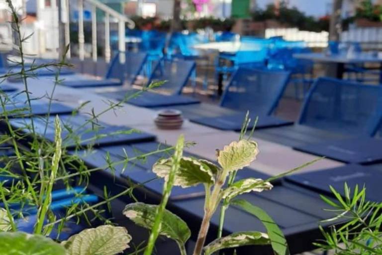 Fully equipped apartment | Dogs allowed in Okrug