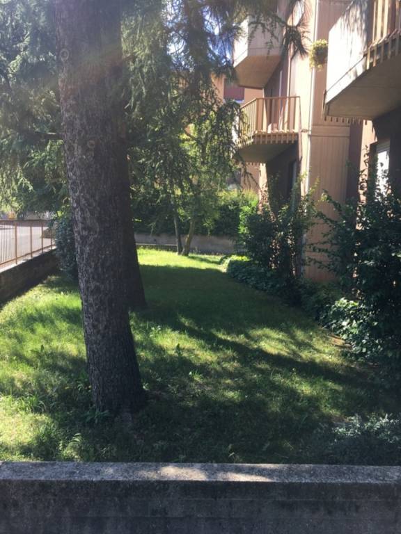 foto40
