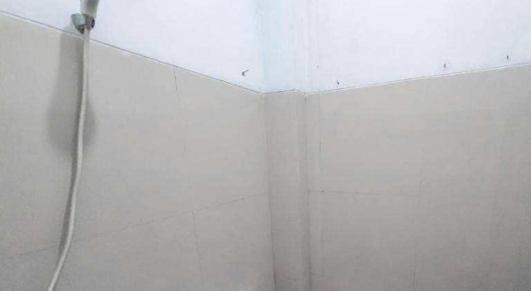 foto38