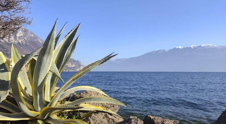 Holiday apartment for 3 persons in Gargnano