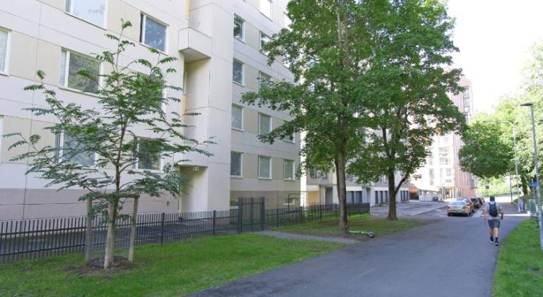Charming apartment | Pet-friendly — photo 4