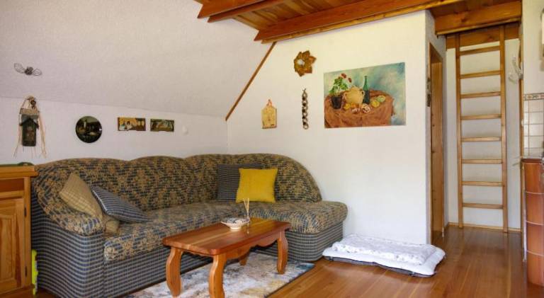 Holiday apartment | Pets are welcome — photo 2