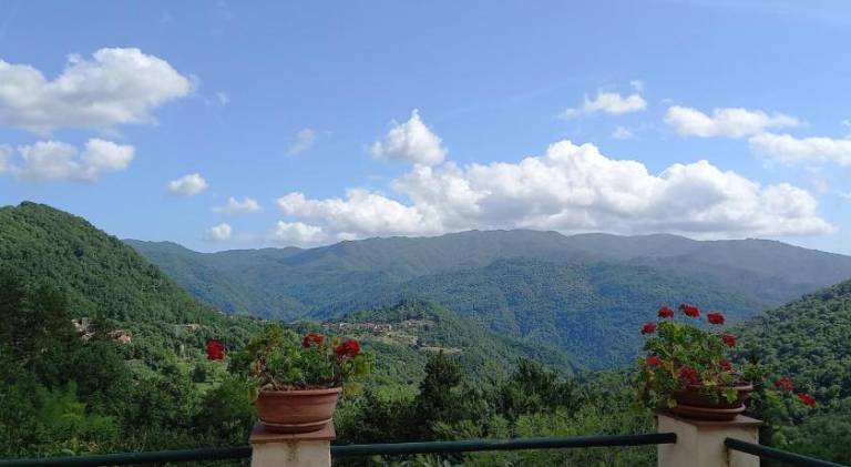 Vacation home with terrace — photo 4