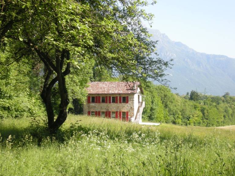 foto31