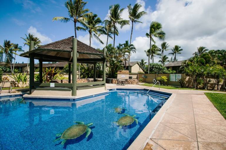 Condo Turtle Bay