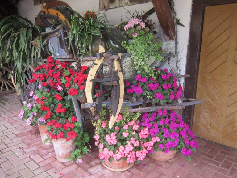 foto37