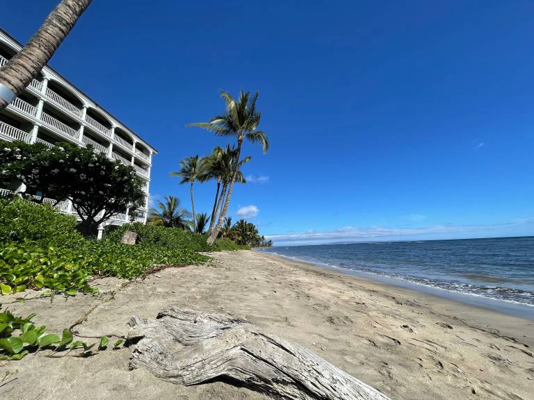 Apartment  Lahaina