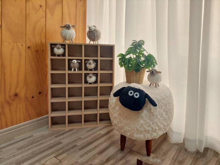 foto10