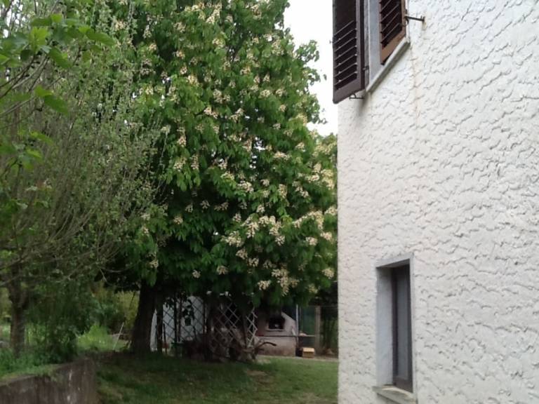 foto22
