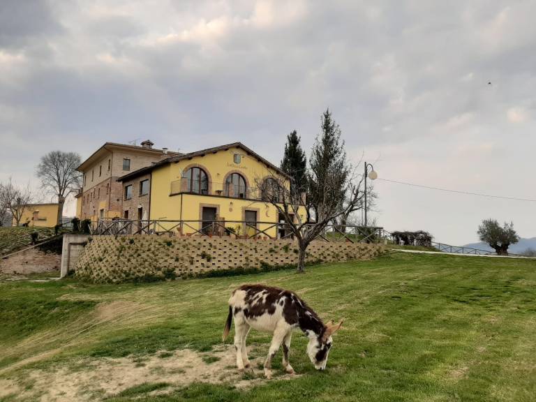 Agriturismo Antica corte: Frigia camera quadrupla — photo 5