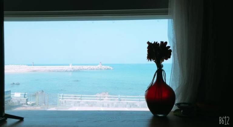 foto8