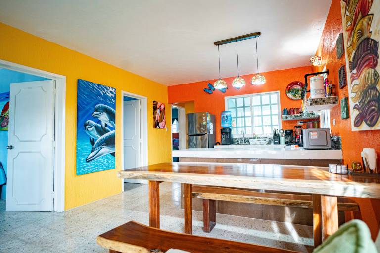 foto6