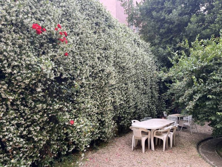 foto29