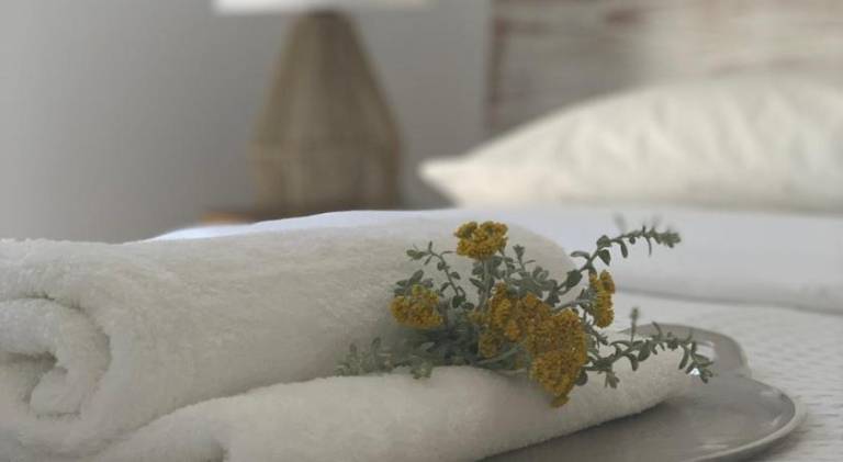 Holiday apartment with yard & terrace | Next to the beach | Pets are welcome in Paro