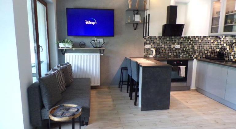 Apartment with 1 room for 3 persons — photo 4