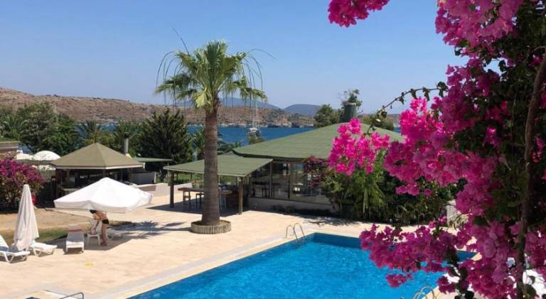 Gumbet Cove Hotel — photo 4