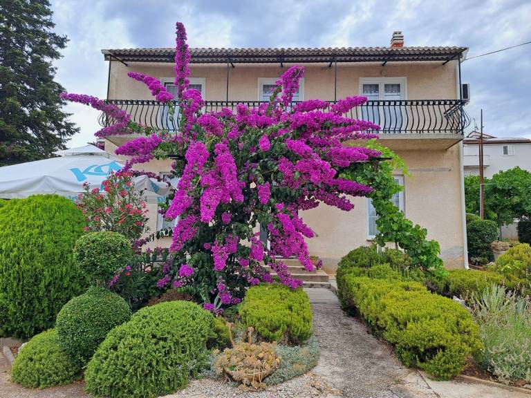 Charming holiday apartment with grill, garden & terrace | Beach nearby | Dogs allowed — photo 2