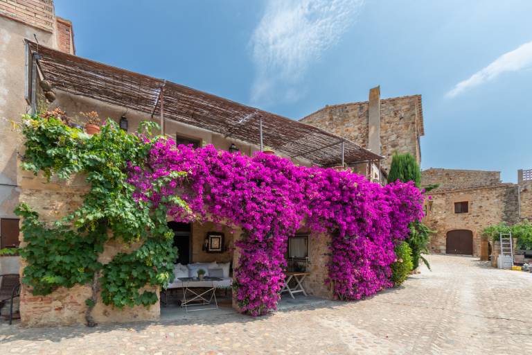 Holiday Home 'Rural House XVIII Century' with Shared Terrace, Wi-Fi and Air Conditioning — photo 2