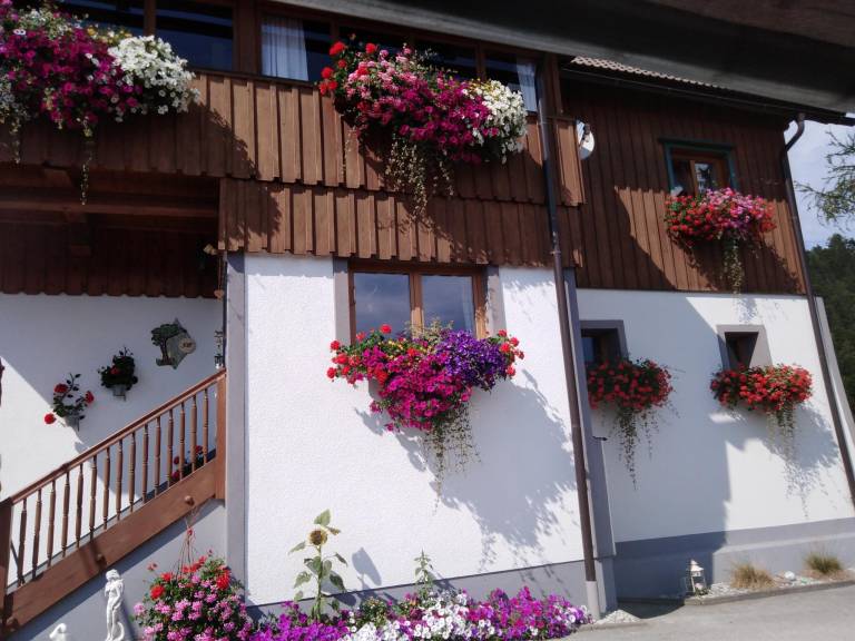 foto22
