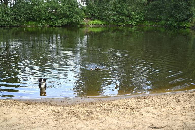 Family-friendly lovely camping | Dogs allowed — photo 4