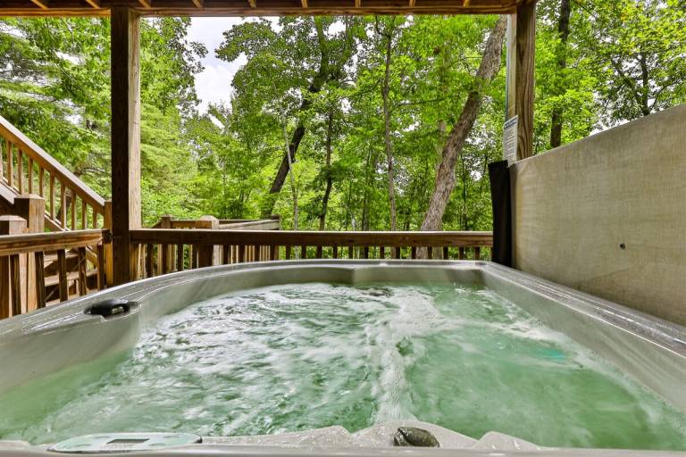 Cabin Blue Ridge