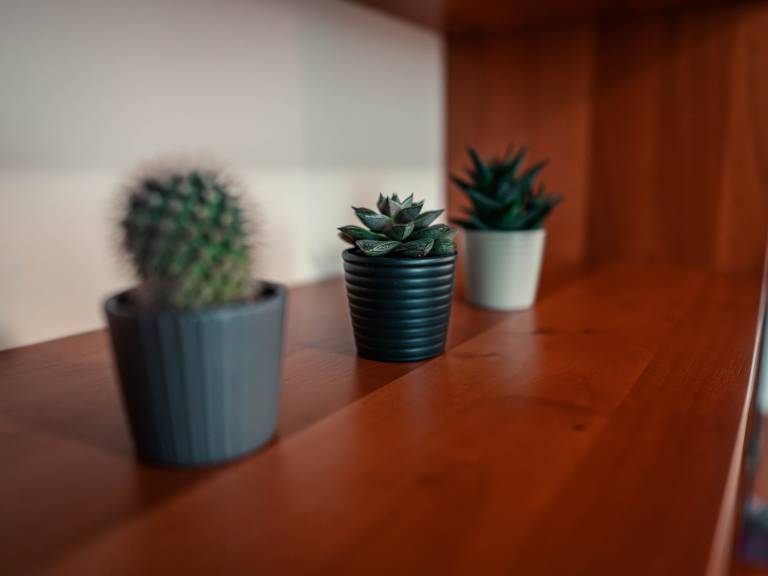 foto35