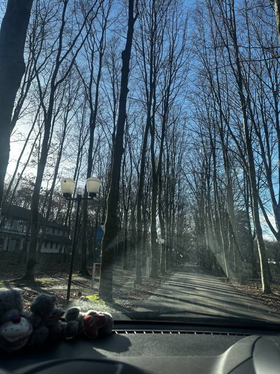 foto24
