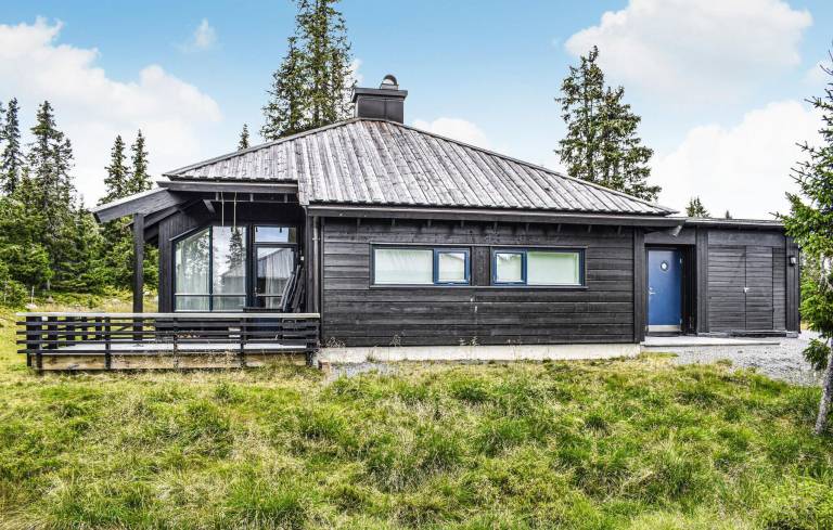 Feriehus  Sjusjøen