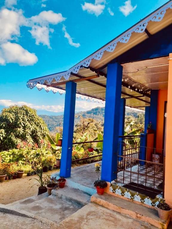 Pine Cone Homestay — photo 4