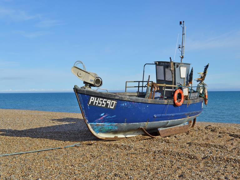 Cottage Hastings