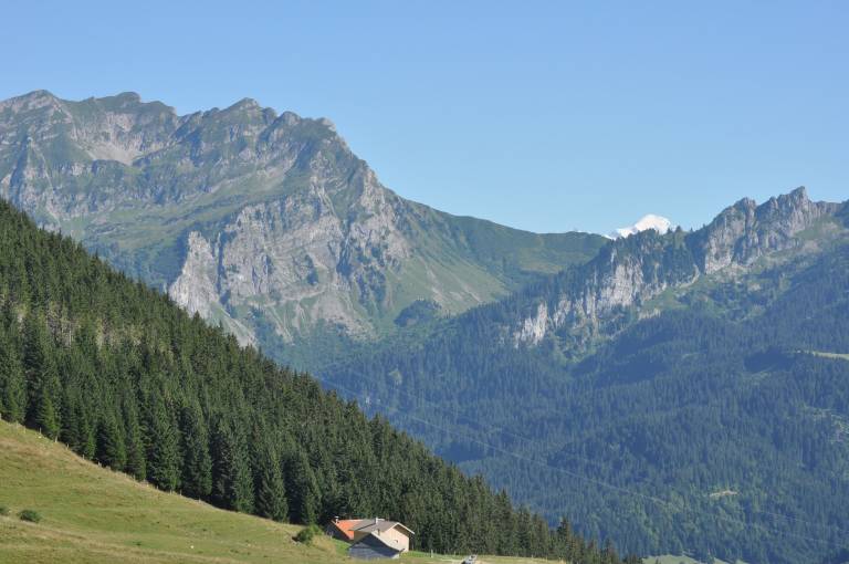 Chalet Onnion