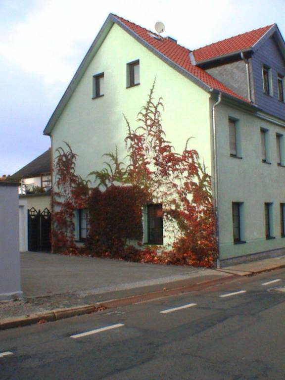 Holiday apartment with sauna | Pets allowed in Wernigerode