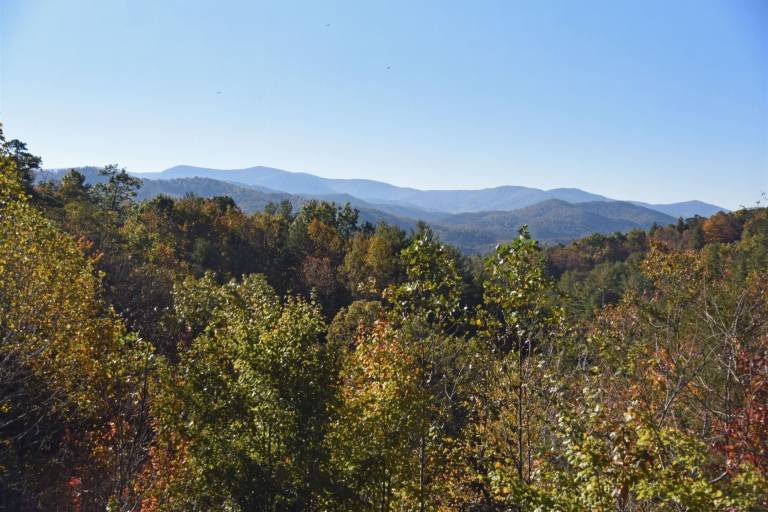 Cabin Blue Ridge