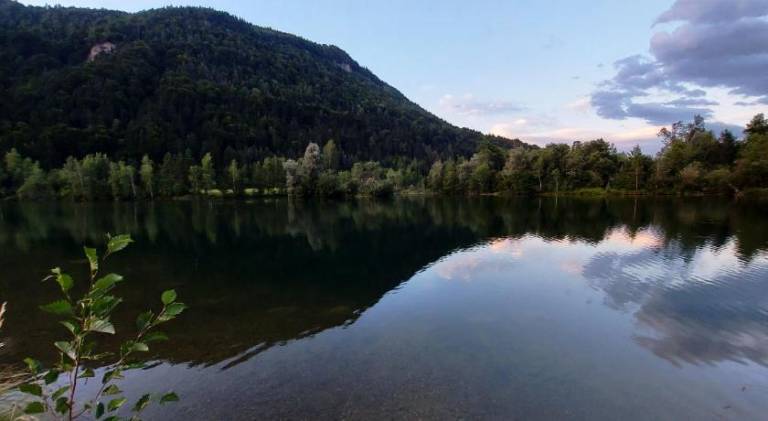 foto46