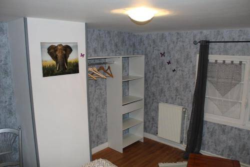 foto11