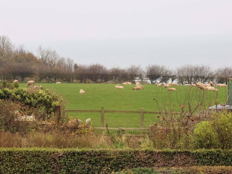Cottage Robin Hood's Bay