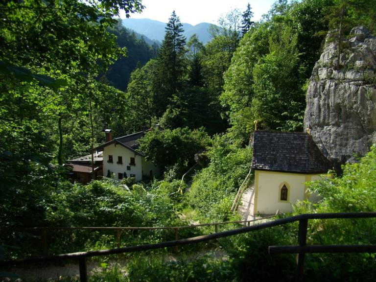 foto31