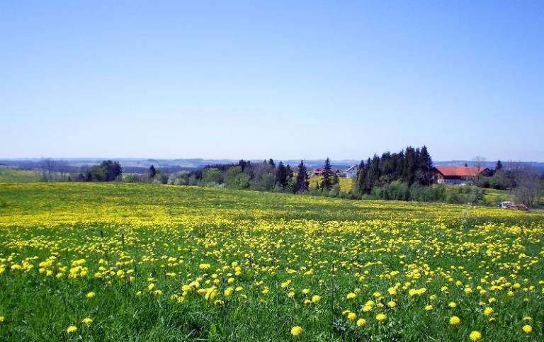 Ferienwohnung  Bad Grönenbach
