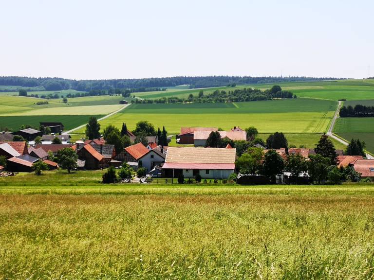 foto1