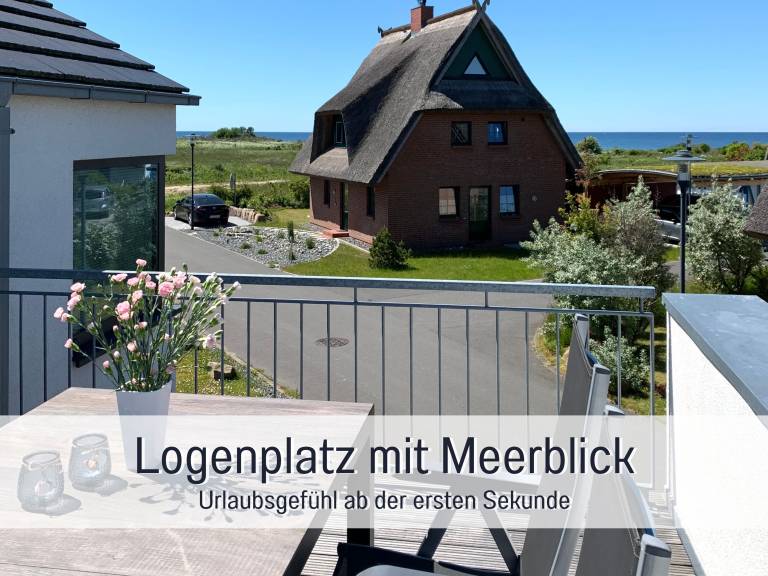 foto19