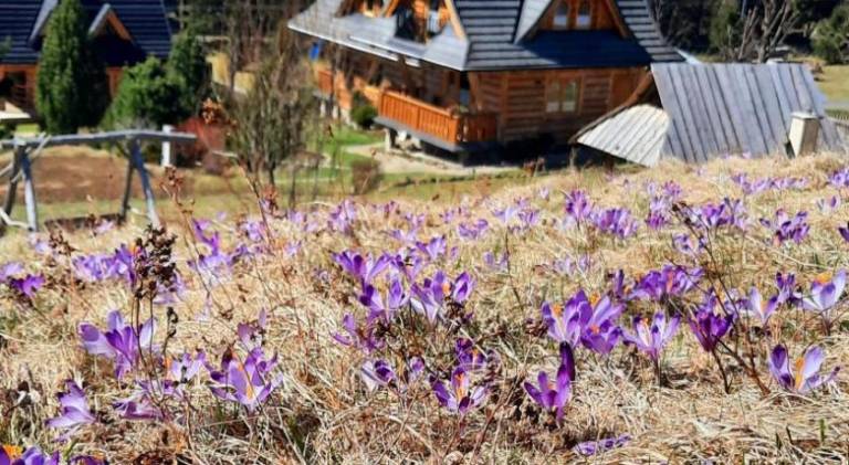 Chalet with barbecue, patio & yard | Pets allowed in Koscielisko
