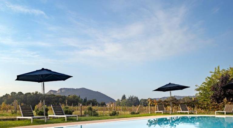 Farm with pool, sauna & BBQ — photo 4