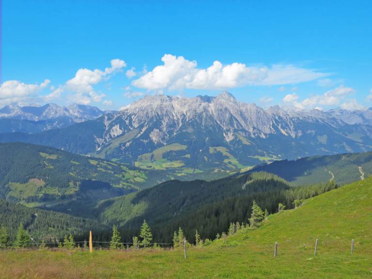 foto16