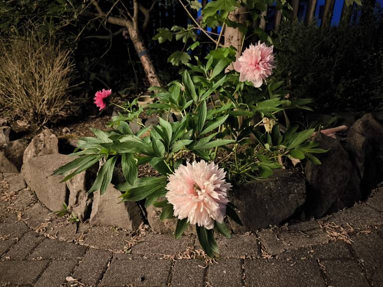 foto35