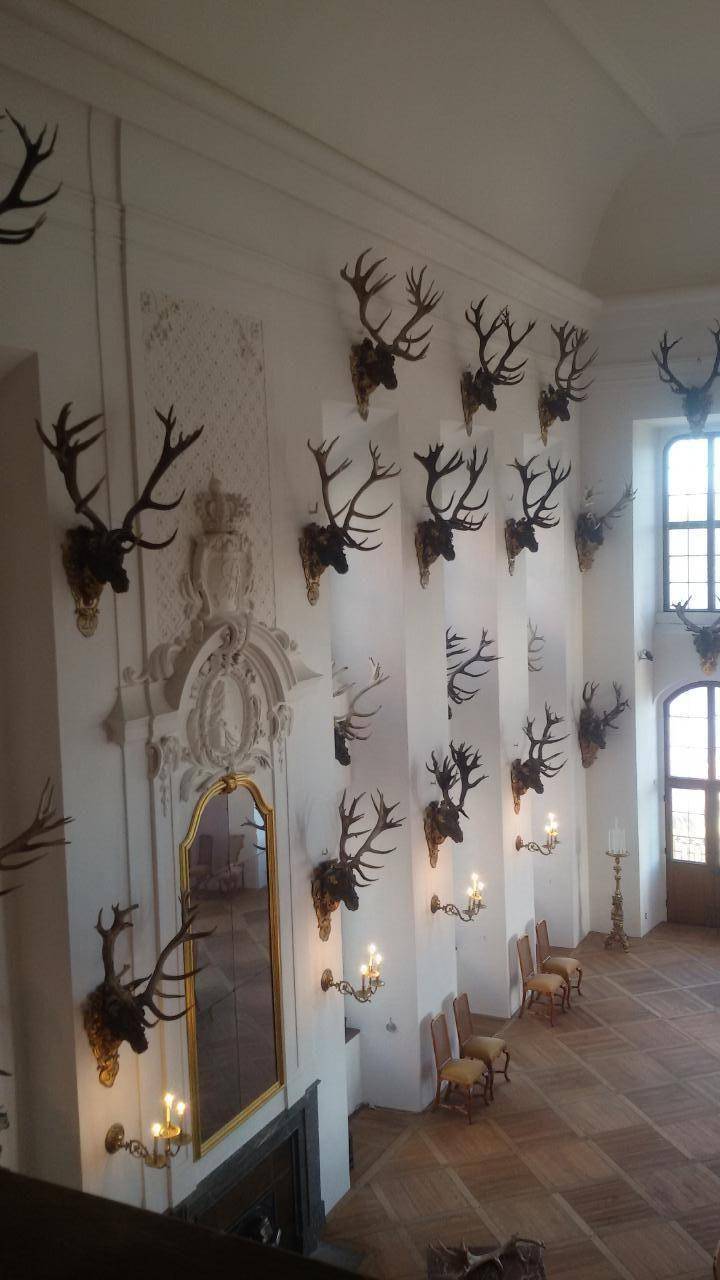 foto22