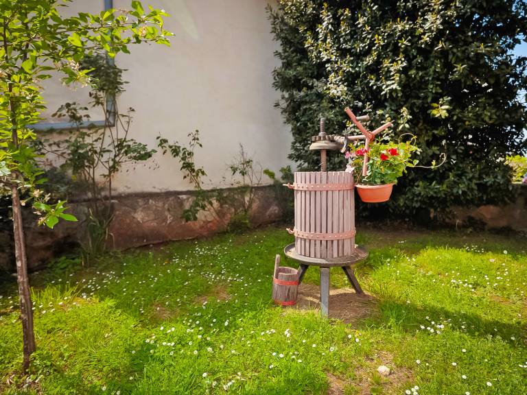 foto11