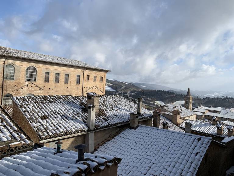 Bed & Breakfast Urbino
