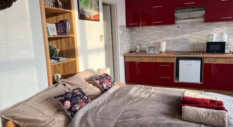 Apartment with 1 room for 3 persons in Veszprem