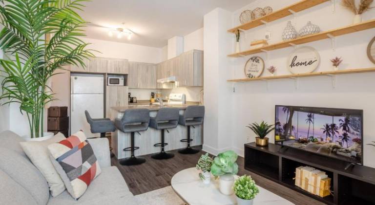 Large Suite in Downtown Montreal in Montréal, QC